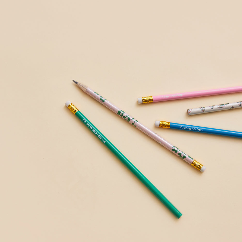 Five colorful pencils in a floral box